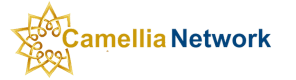 Camellia Network | Web Design ‍| Digital Marketing Agency